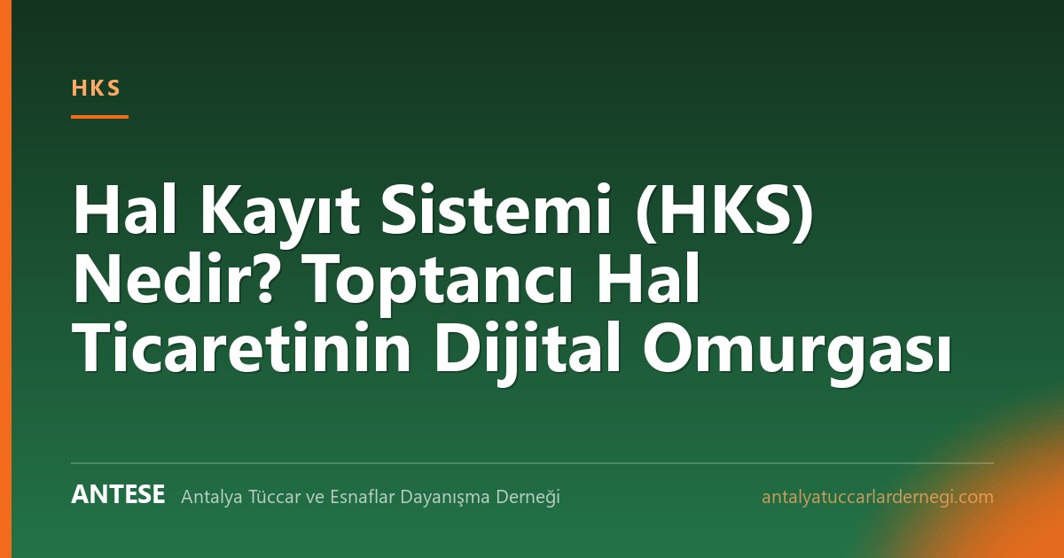 Hal Kayıt Sistemi (HKS) Nedir? Toptancı Hal Ticaretinin Dijital Omurgası