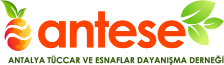 ANTESE - Antalya Tüccar Ve Esnaflar Dayanışma Derneği